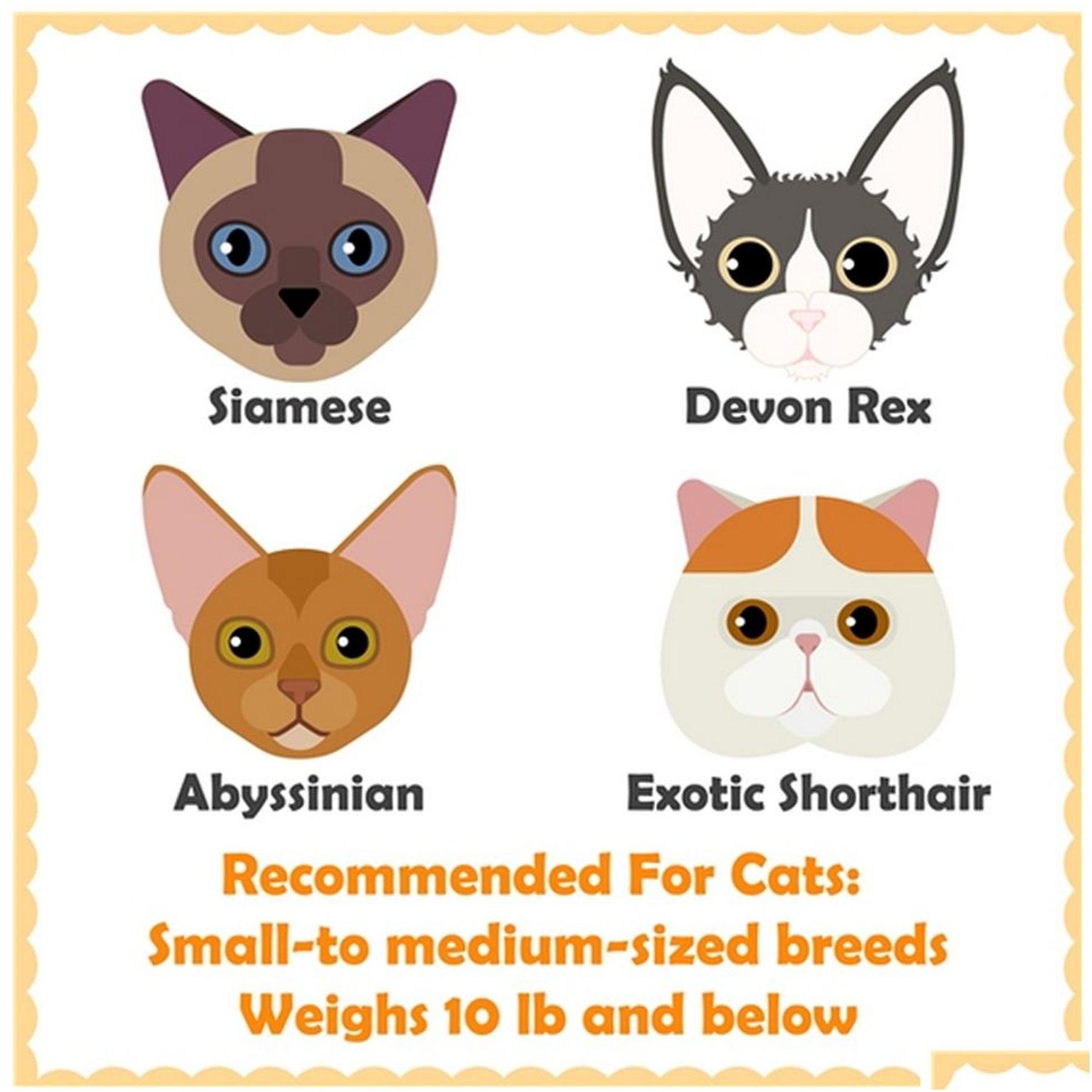 Cat Condo Yaheetech Scratching Tree Drop Delivery Pet Supplies Furniture Scratchers Otdah