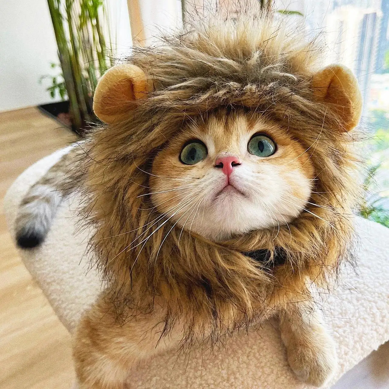 TONG Cat Costume Lion Mane Cat Wig Hat Cosplay Clothes Cap Dress up Puppy Kitten Halloween Christmas Lion Cat 241212