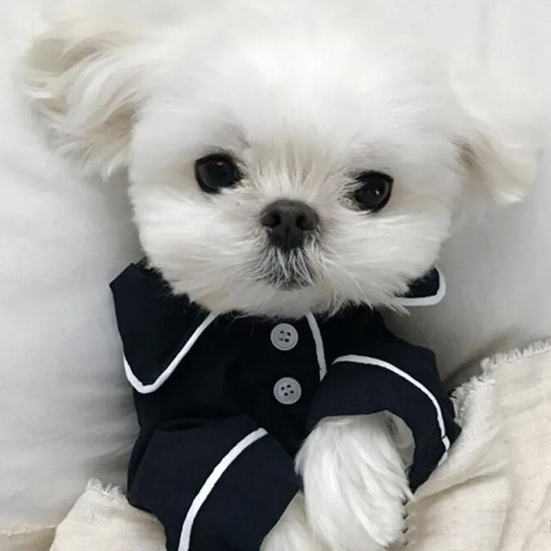 Summer French dog pajamas Pomeranian bear bullfighting small dog Teddy pet clothes shirt Feel Comfortable When Touched HF28