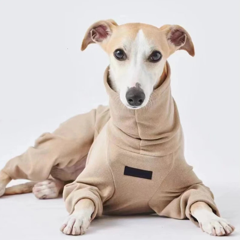 Soft Whippet Turtleneck 4-legged Clothes Warm Italian Greyhound Cotton Stretch Dog Sweater in Autumn Winter 241212