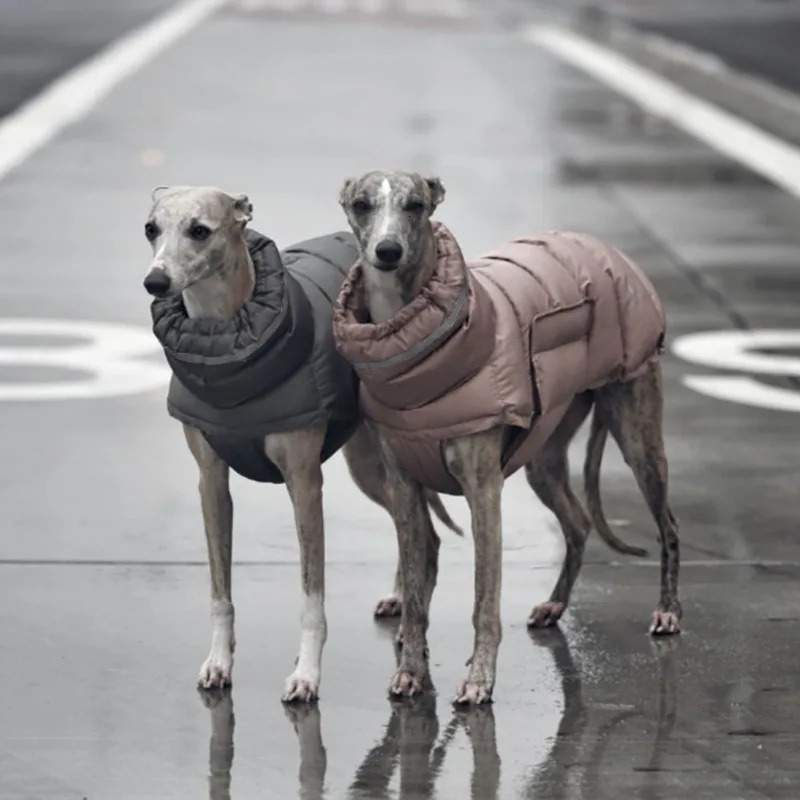 Dog Clothes Windproof Waterproof Thick Pet Down Jacket winter warm clothes For Chihuahua French Bulldog Outfits Large Dog Parka 241212