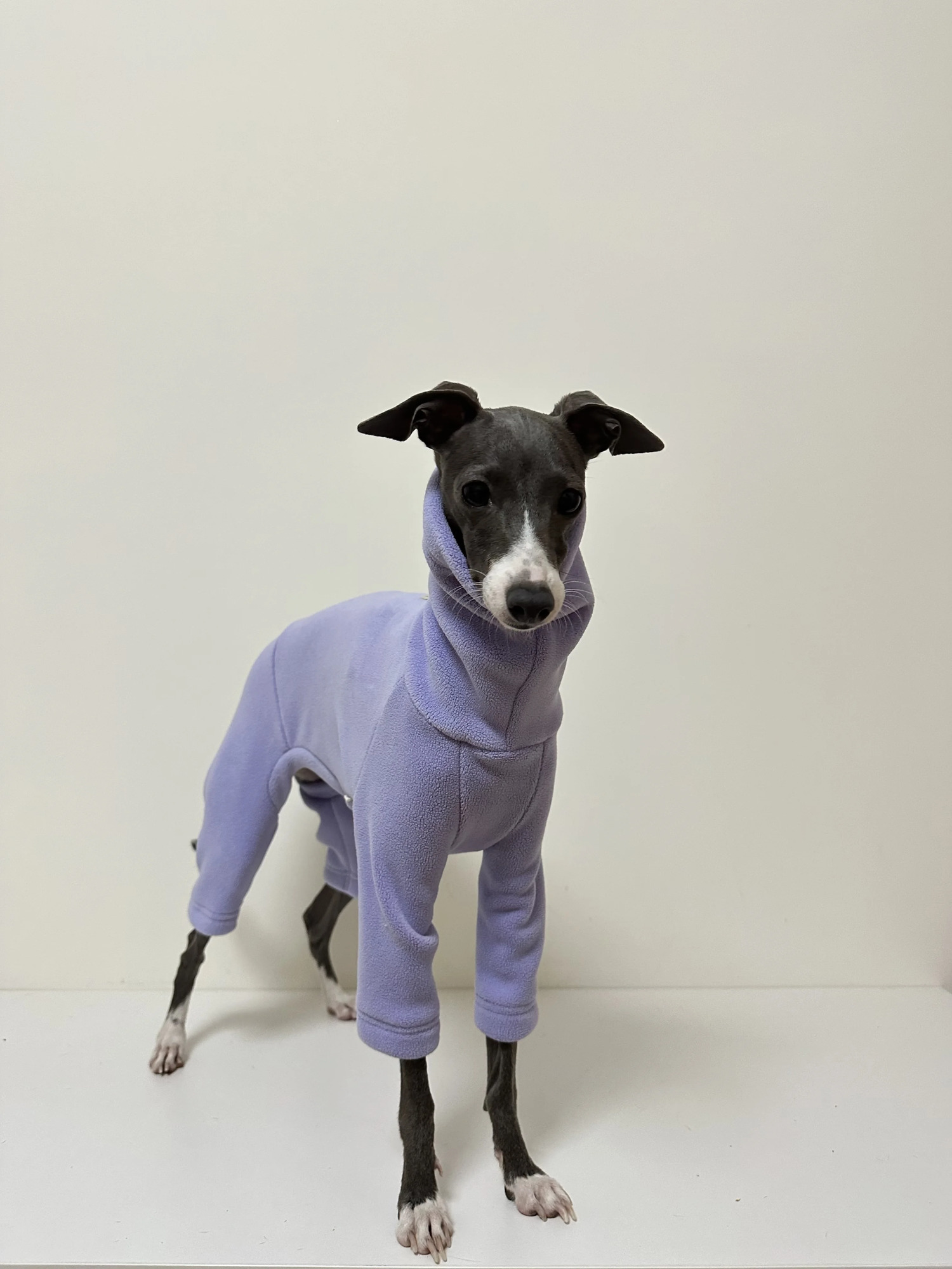 Fahison Whippet Italian Greyhound Clothing Fleece Dog Jammies Winter Warm Turtleneck Stretch Pet clothes 241212