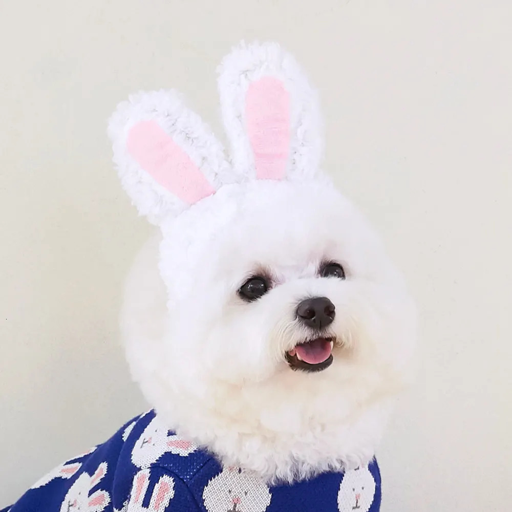 Cute rabbit Mane Cat Wig Hat for Dogs and Cat Small Dog Pet Cat Decor Accessories Lion Wig Fancy Hair Cap Pet Supplies 241212