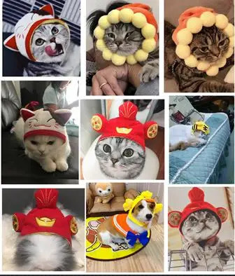 Pet Headdress Halloween Cosplay Hat Multiple Styles Cat Teddy Holiday Dress Up Sun Trick Fortune Headdress Wig Cat Headgear Hat 241212