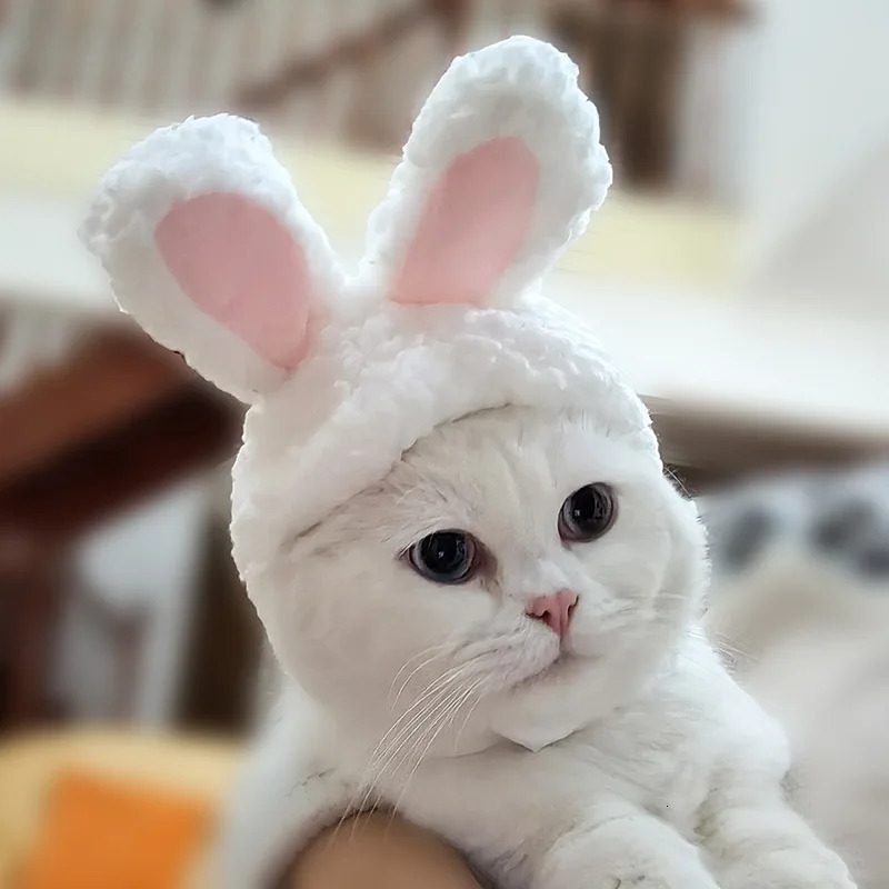 Cute rabbit Mane Cat Wig Hat for Dogs and Cat Small Dog Pet Cat Decor Accessories Lion Wig Fancy Hair Cap Pet Supplies 241212