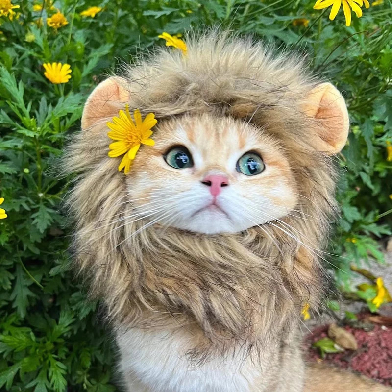 Cute Lion Mane Cat Wig Hat Funny Pets Clothes Cap Fancy Party Dogs Cosplay Costume Kitten Hat with Ears Accessories Cat Costume 241212