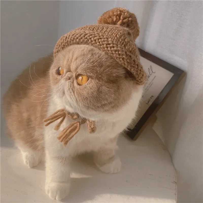 Dog Winter Wool Hat Cute Pet Hat Cute Pet Hair Ball Christmas Headwear Dog Clothing Cat Hat Dog Helmet M241212