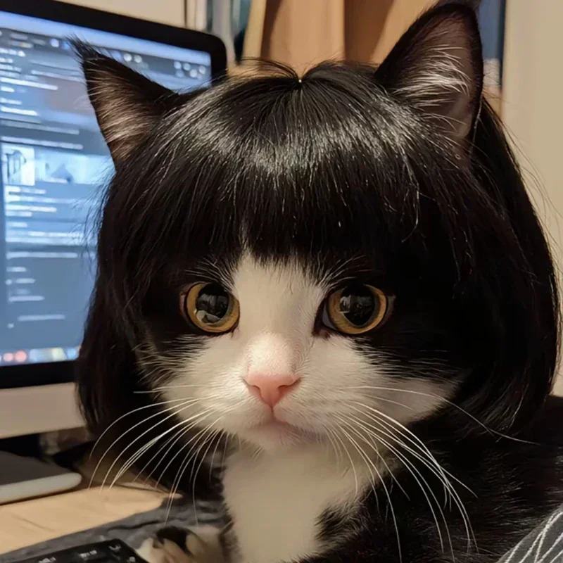 Pet Wig Dog Wig Pet Supplies Halloween Pet Accessories Curly Hair Straight Hair Cat Wig 241212