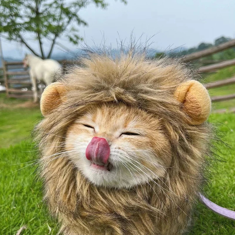 Cute Lion Mane Cat Wig Hat Funny Pets Clothes Cap Fancy Party Dogs Cosplay Costume Kitten Hat with Ears Accessories Cat Costume 241212