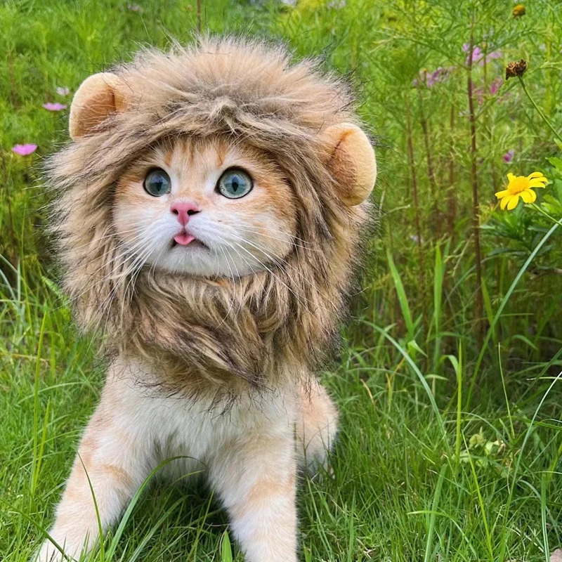 Cute Lion Mane Cat Wig Hat Funny Pets Clothes Cap Fancy Party Dogs Cosplay Costume Kitten Hat with Ears Accessories Cat Costume 241212