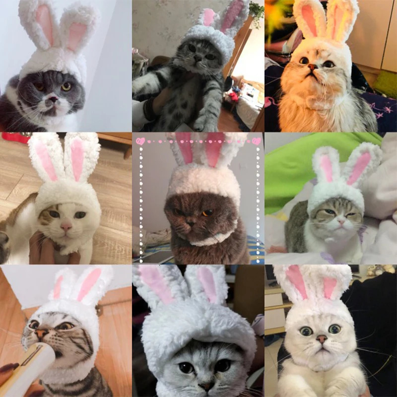 Funny Pet Dog Cat Wig Costume Warm Rabbit Hat For Year Birthday Party Christmas Cosplay Accessories Props Puppy Headwear 241212