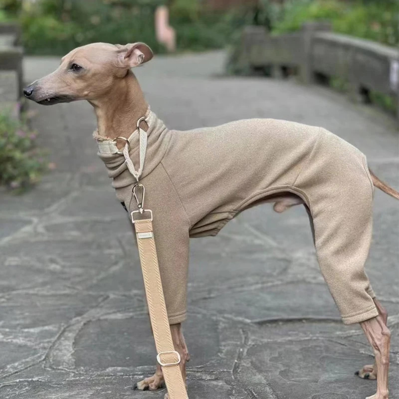 Soft Whippet Turtleneck 4-legged Clothes Warm Italian Greyhound Cotton Stretch Dog Sweater in Autumn Winter 241212