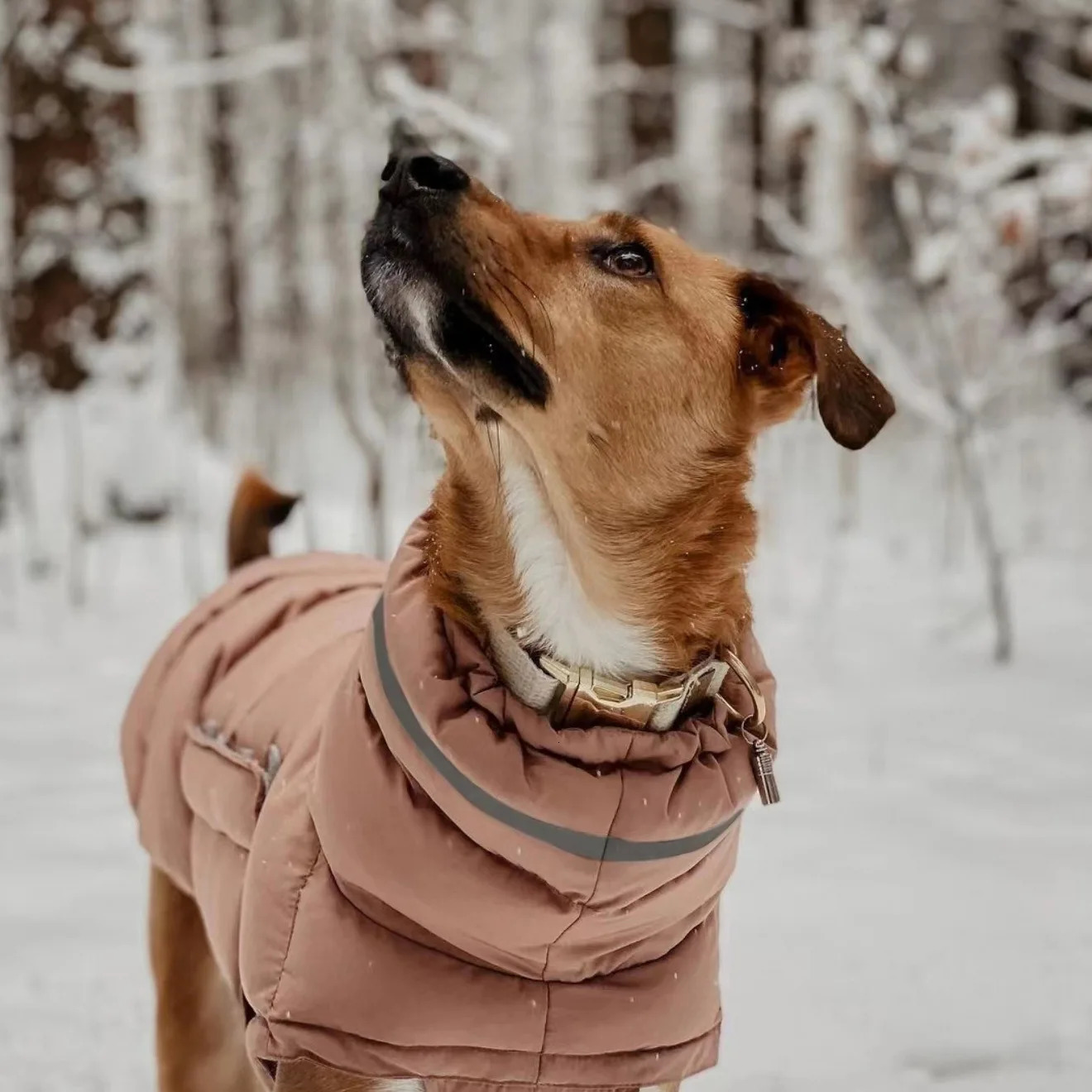 Dog Clothes Windproof Waterproof Thick Pet Down Jacket winter warm clothes For Chihuahua French Bulldog Outfits Large Dog Parka 241212