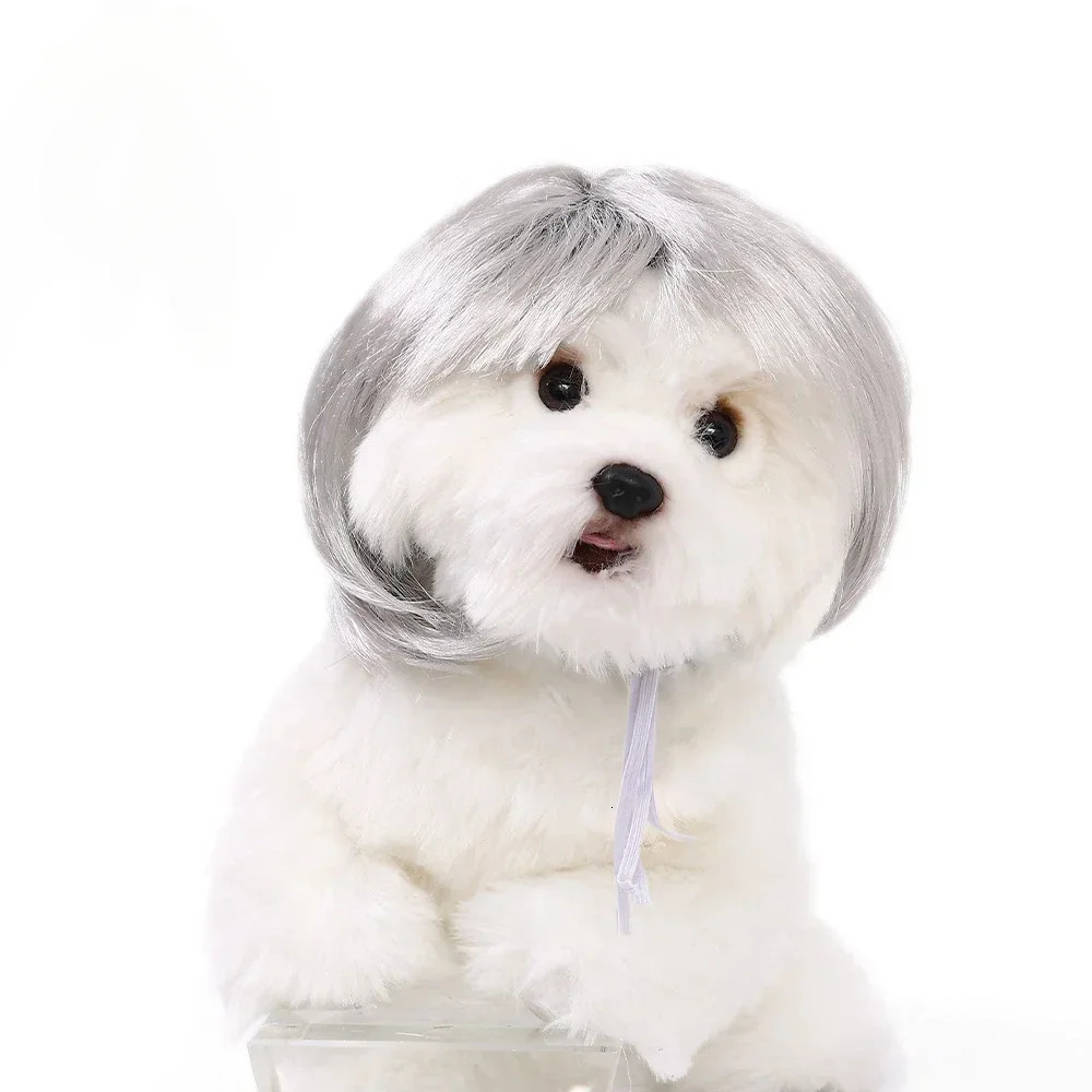 Pet Wig Dog Wig Pet Supplies Halloween Pet Accessories Curly Hair Straight Hair Cat Wig 241212