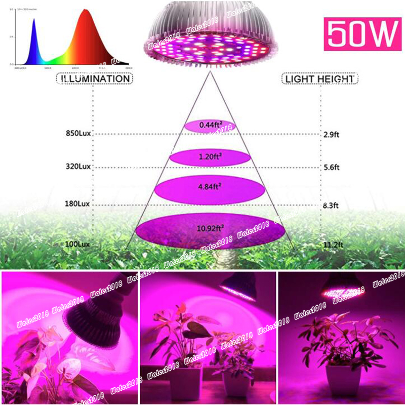 50W Led Grow Light Bulb Led Plant Bulb Full Spectrum Grow Lights Hydroponics Indoor Garden Greenhouse and Organic Soil E26 78LED
