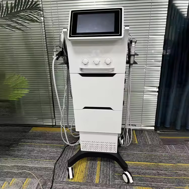 10 in 1 Facegen Oxygen Bubble Cleansing Face Dermabrasion H2O2 Skin Revitalization RF EMS Meso Moisturizing Visual Microdermabrasion Machine
