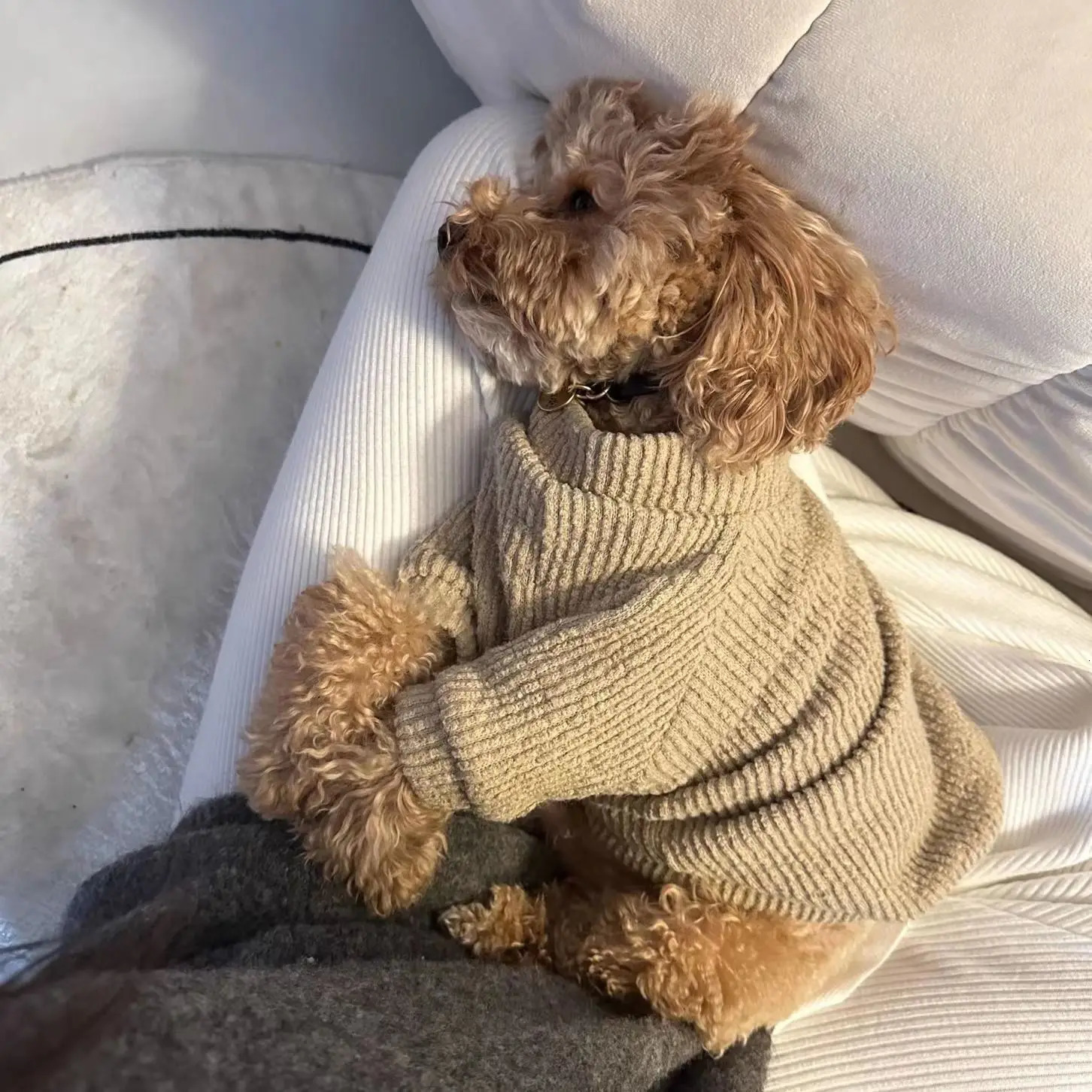 Winter Warm Pet Dog Clothes for Small Dogs Pets Clothing French Bulldog Cotton Sweater for Yorkies Chihuahua Puppy Coat PC0944 241212