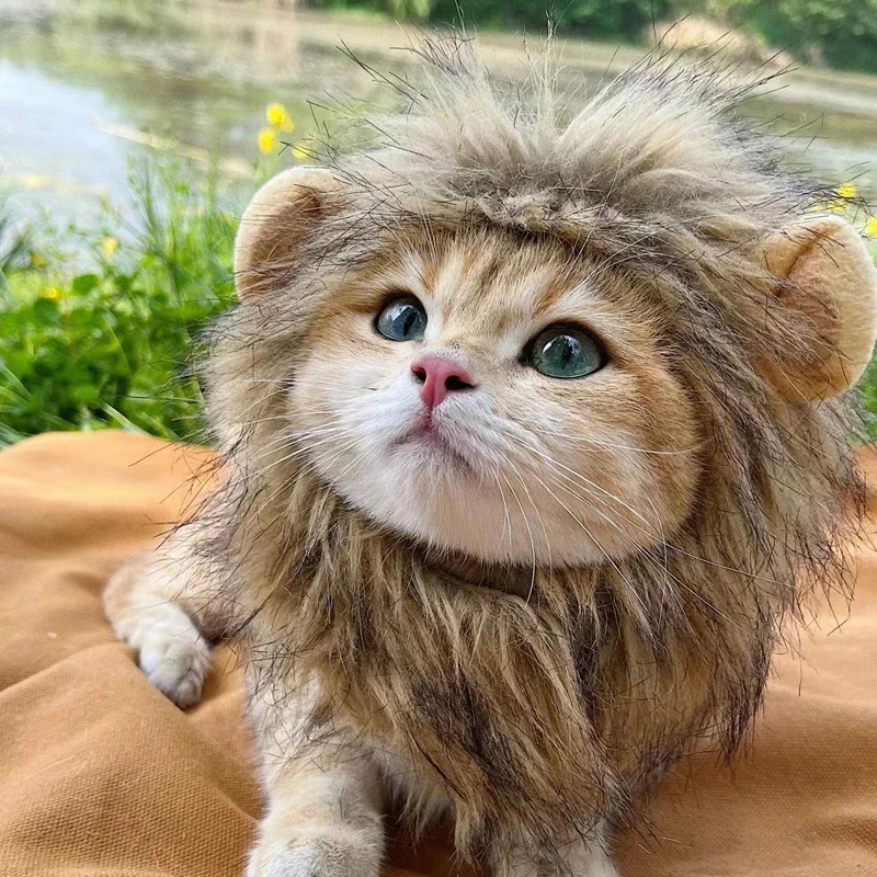 Cute Lion Mane Cat Wig Hat Funny Pets Clothes Cap Fancy Party Dogs Cosplay Costume Kitten Hat with Ears Accessories Cat Costume 241212