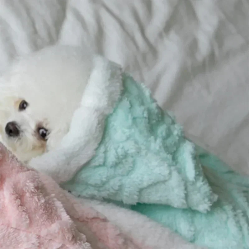 Warm Blanket Plush Coat for Dog Pet Plush Sweater Home Cloak Puppy Clothes Teddy Clothing Winter Fleece Thicken Warm Coat Gifts 241212