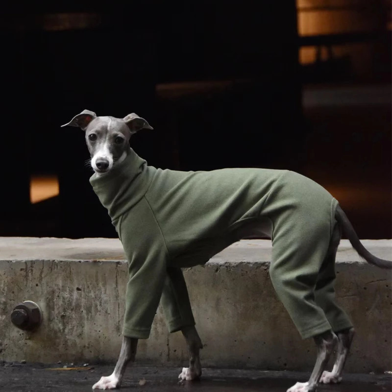 Soft Whippet Turtleneck 4-legged Clothes Warm Italian Greyhound Cotton Stretch Dog Sweater in Autumn Winter 241212