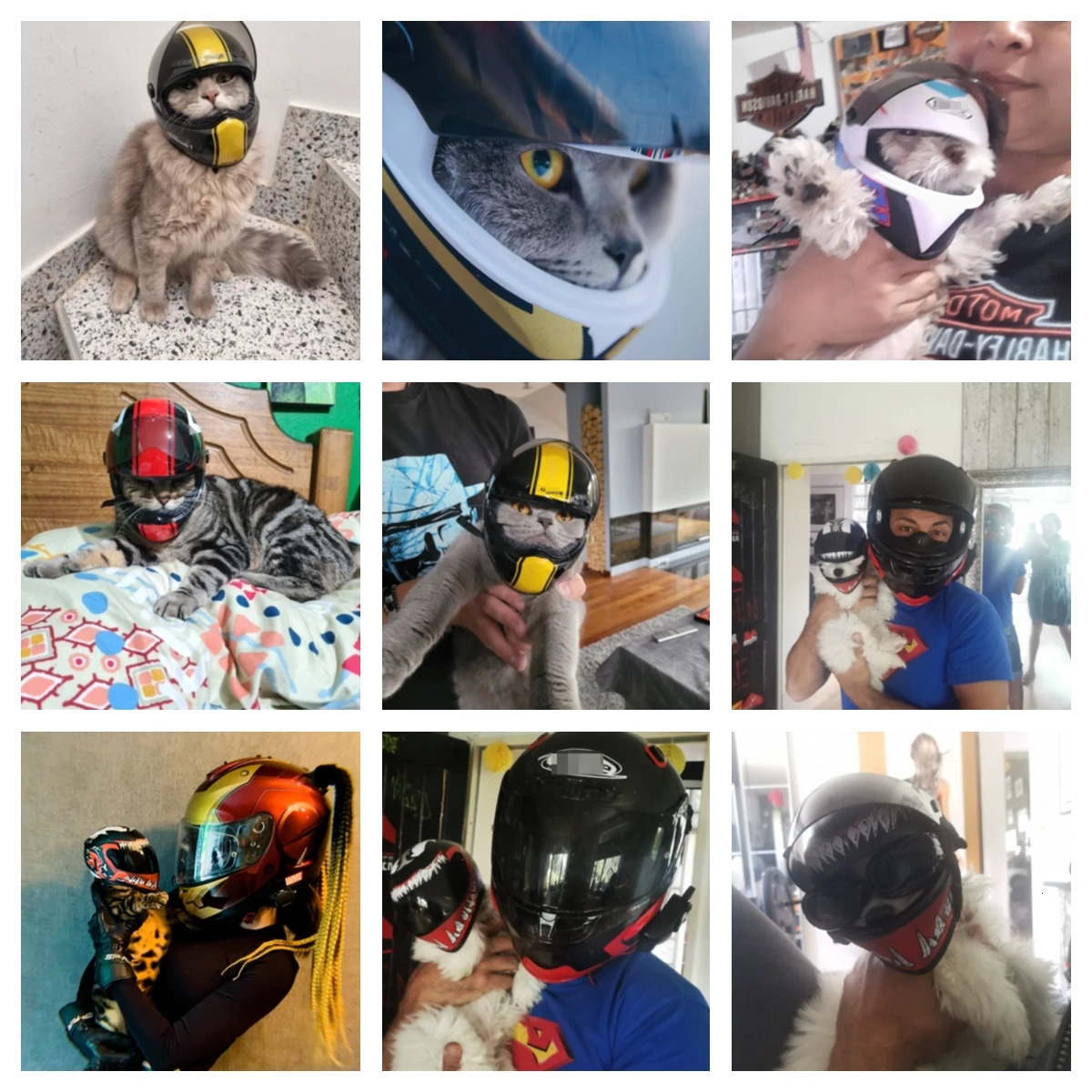ATUBAN Small Pet Motorcycle Helmet Cat Dog Puppy Mini HelmetsFull Face Motorcycle Helmet Outdoor Head Protecting Pet Hard Hat 241212