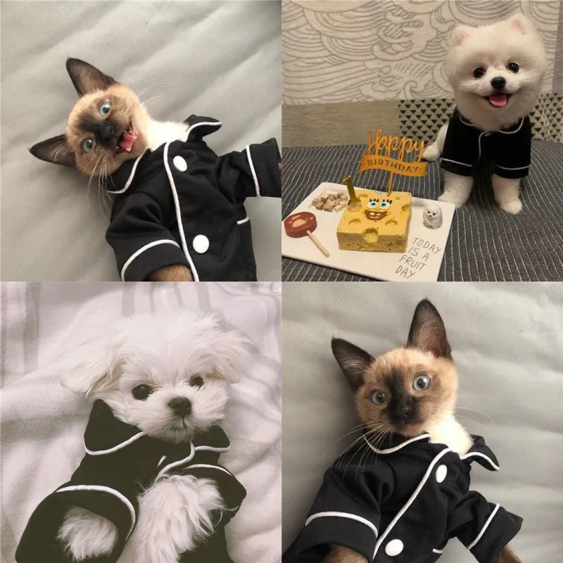 Summer French dog pajamas Pomeranian bear bullfighting small dog Teddy pet clothes shirt Feel Comfortable When Touched HF28