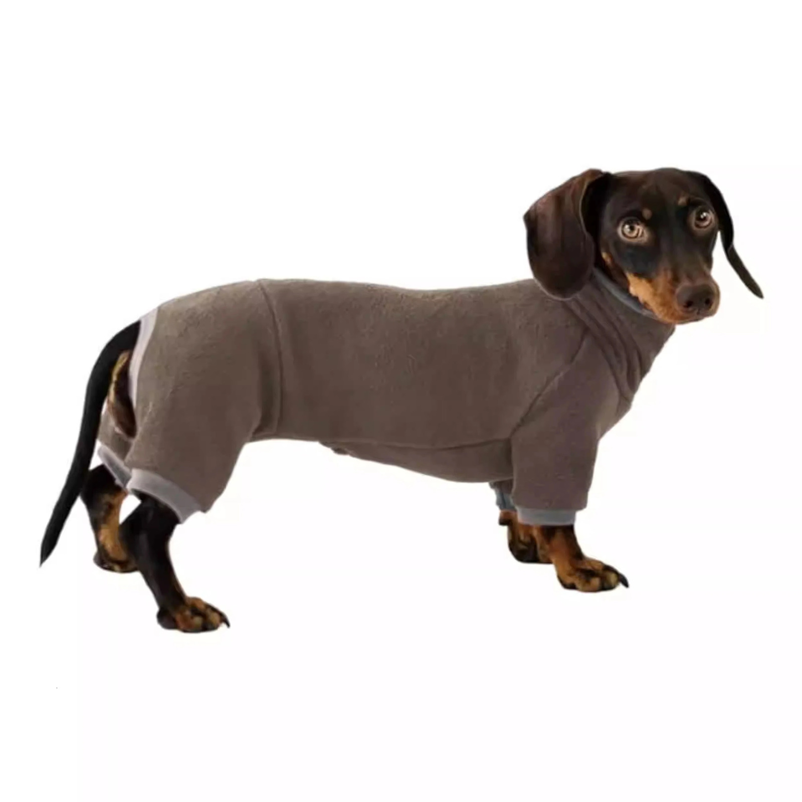 Warm Dachshund Clothes Stretch Soft Sausage Dog Four-legged Pajamas Comfortable Badger Dog Clothes in Winter 241212