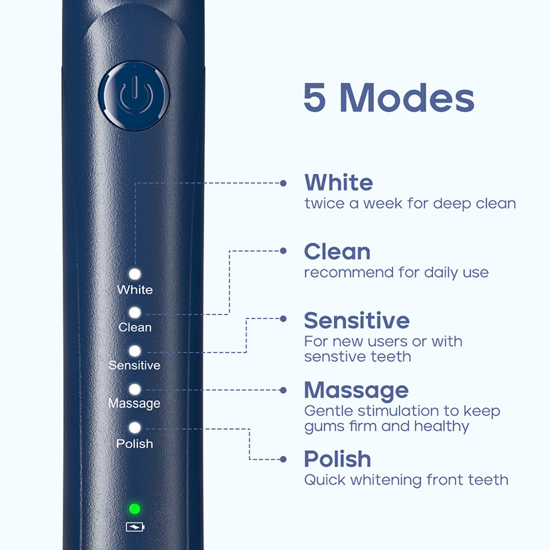 Seago Sonic Electric Toothbrush Two-Engines Magnetic Core Oral Care Smart Adult Timer Brush Waterproof Brushes Sg540