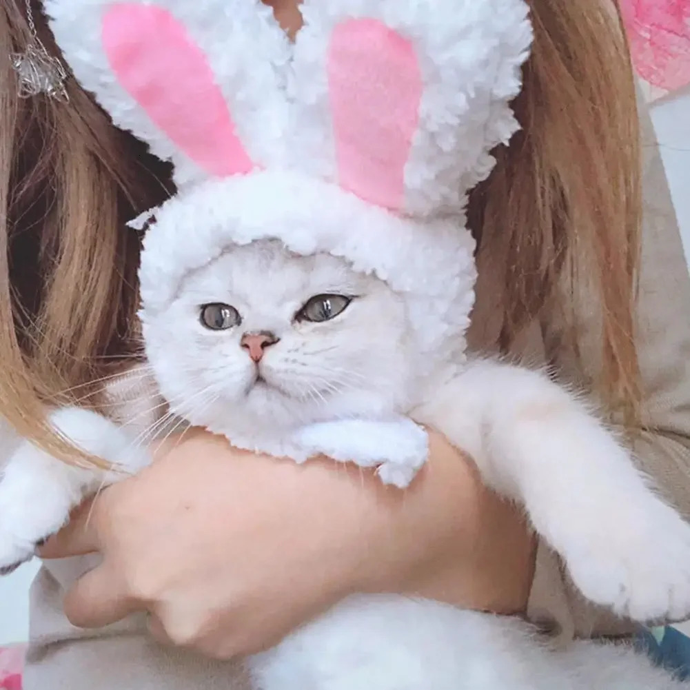 Cute rabbit Mane Cat Wig Hat for Dogs and Cat Small Dog Pet Cat Decor Accessories Lion Wig Fancy Hair Cap Pet Supplies 241212