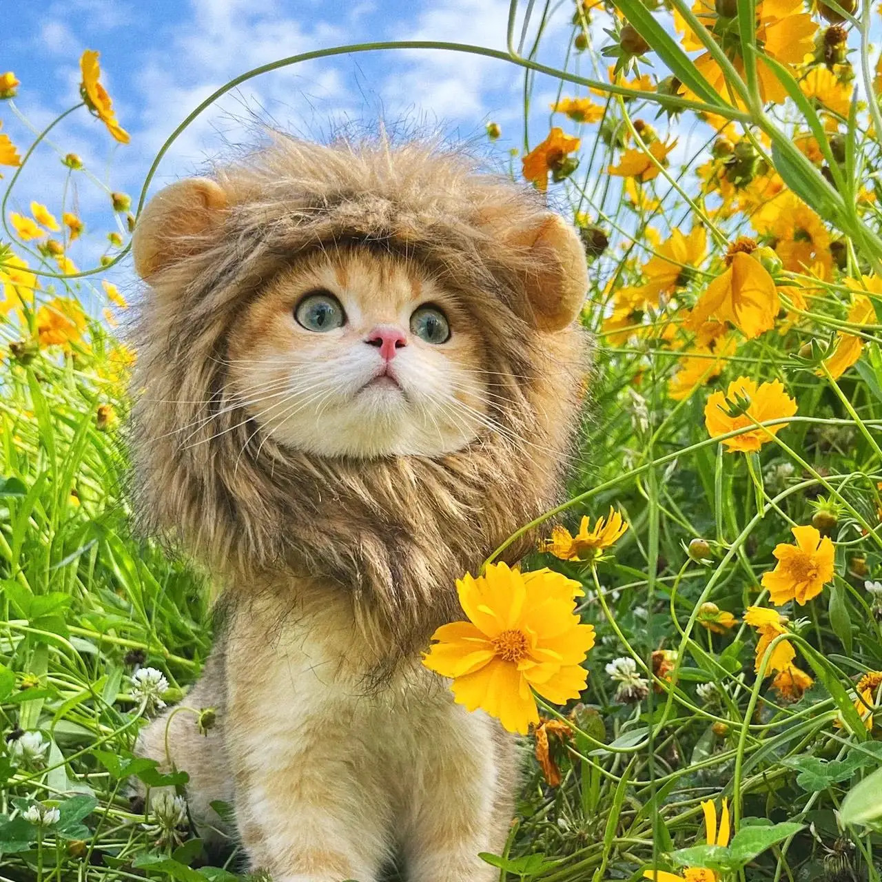 TONG Cat Lion Costume Hat Lion Mane Wig for Cat Costume Lion Hair Cat for Halloween Christmas Lion Head Mane Hat for Cat 241212