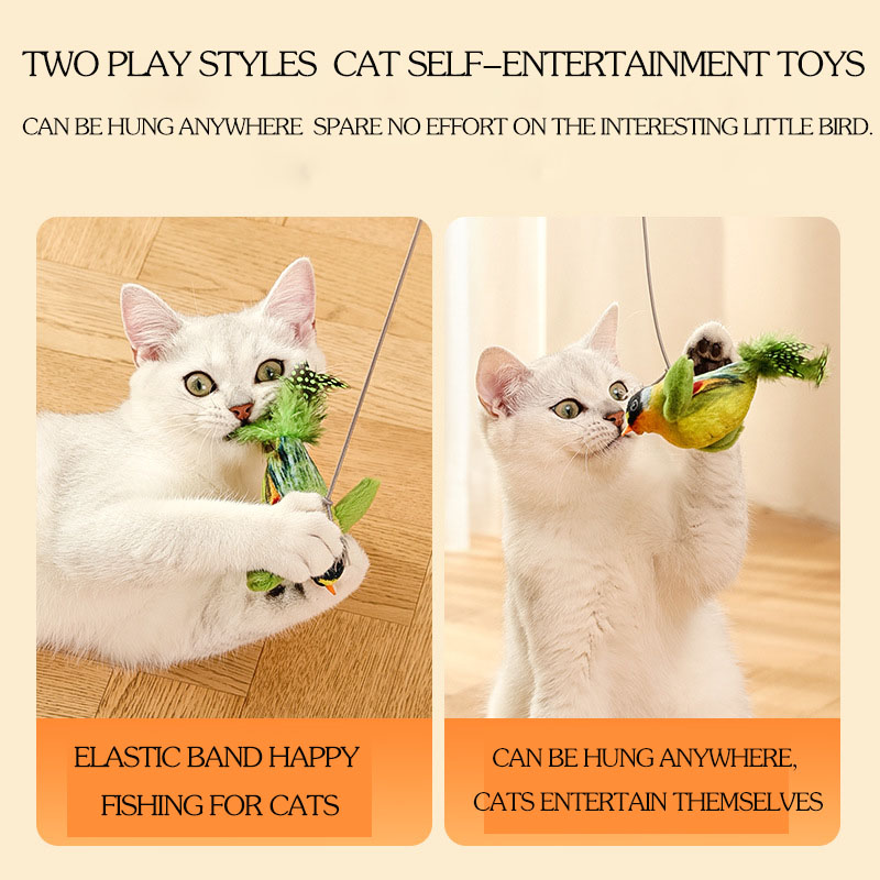 feathered birds for kittens to chew on, catstaying sticks, wholesale supplies New cat toys Sound Production