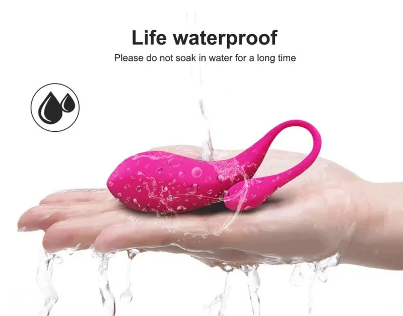 Panties Wireless Remote Vibrator Vagina Vibrating Egg Wearable Balls Vibrators G Spot Clitoris Massager Adult Sex Toys for Women 241213