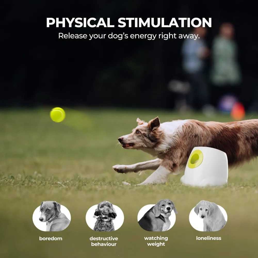 Automatic dog ball launcher interactive dog ball thrower psychological stimulation dog toy dog tennis machine X241213