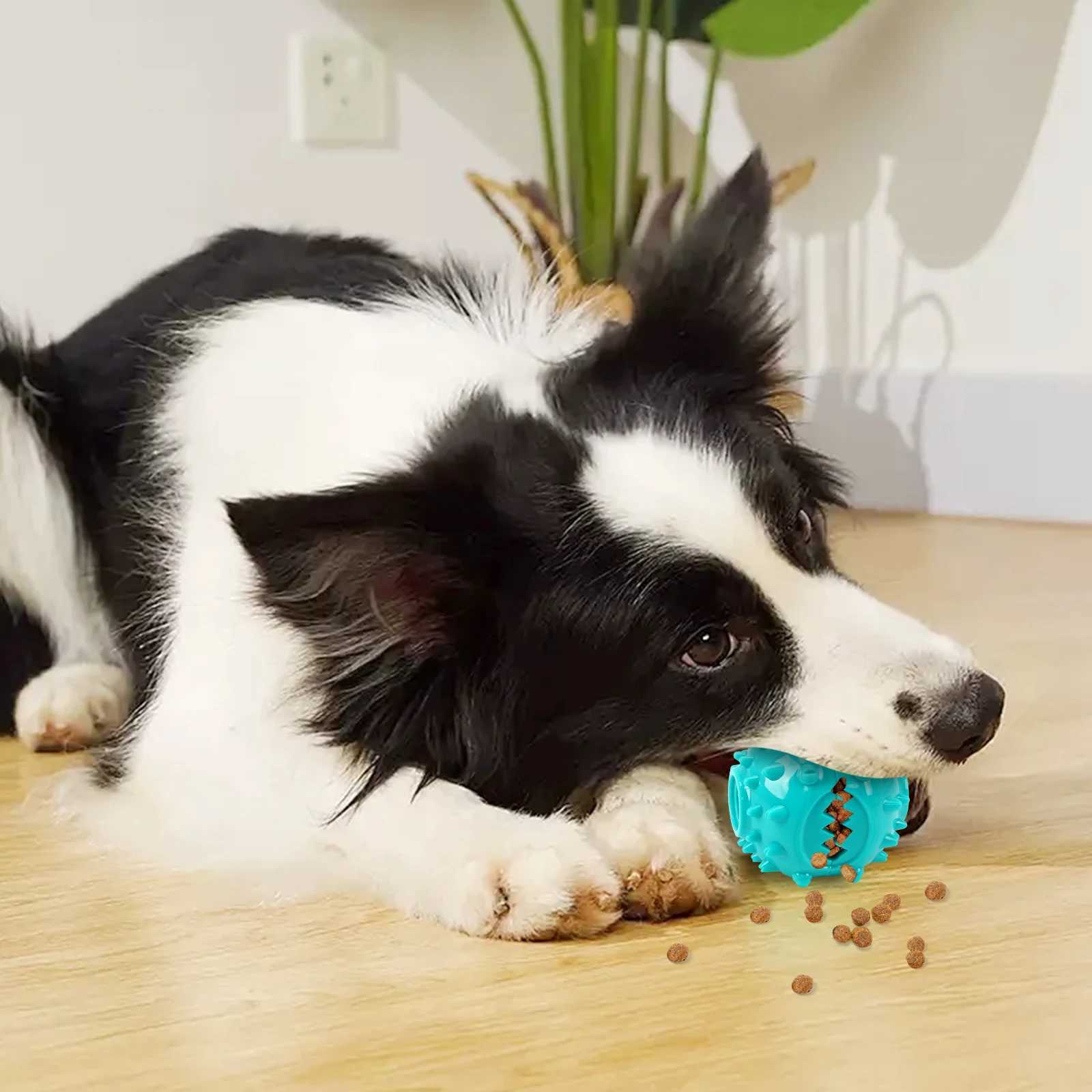 Dog Grinding Teeth Toys Chew Toys Cleaning Teeth Anti Bite Interactive Training Leaking Food Balls Toys Slow Food Pet Products X241213