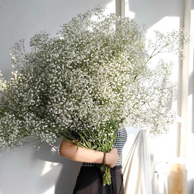 White Natural Dried Gypsophila Babys Breath Dried Flowers Gypsophila Arrangement Home Decoration Wedding Table Decor Floral DIY H260421