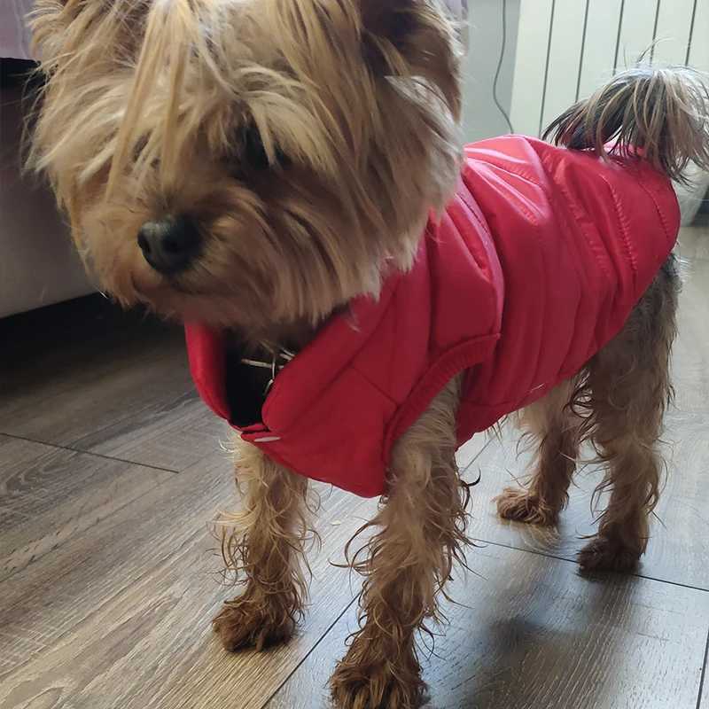 Dog jacket winter French bulldog small dog jacket York jacket Chihuahua pet products puppy hoodie Y241212