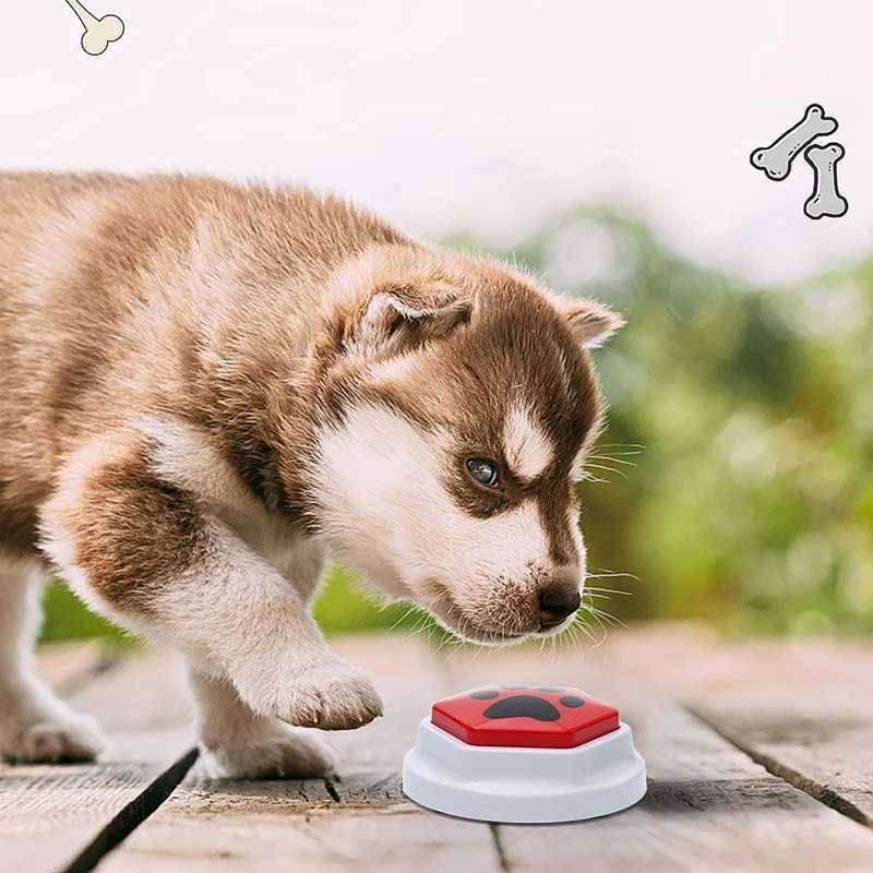Pet training can record voice buttons that speak hexagonal paw patterns interactive voice responses and dog toys for communication X2412131