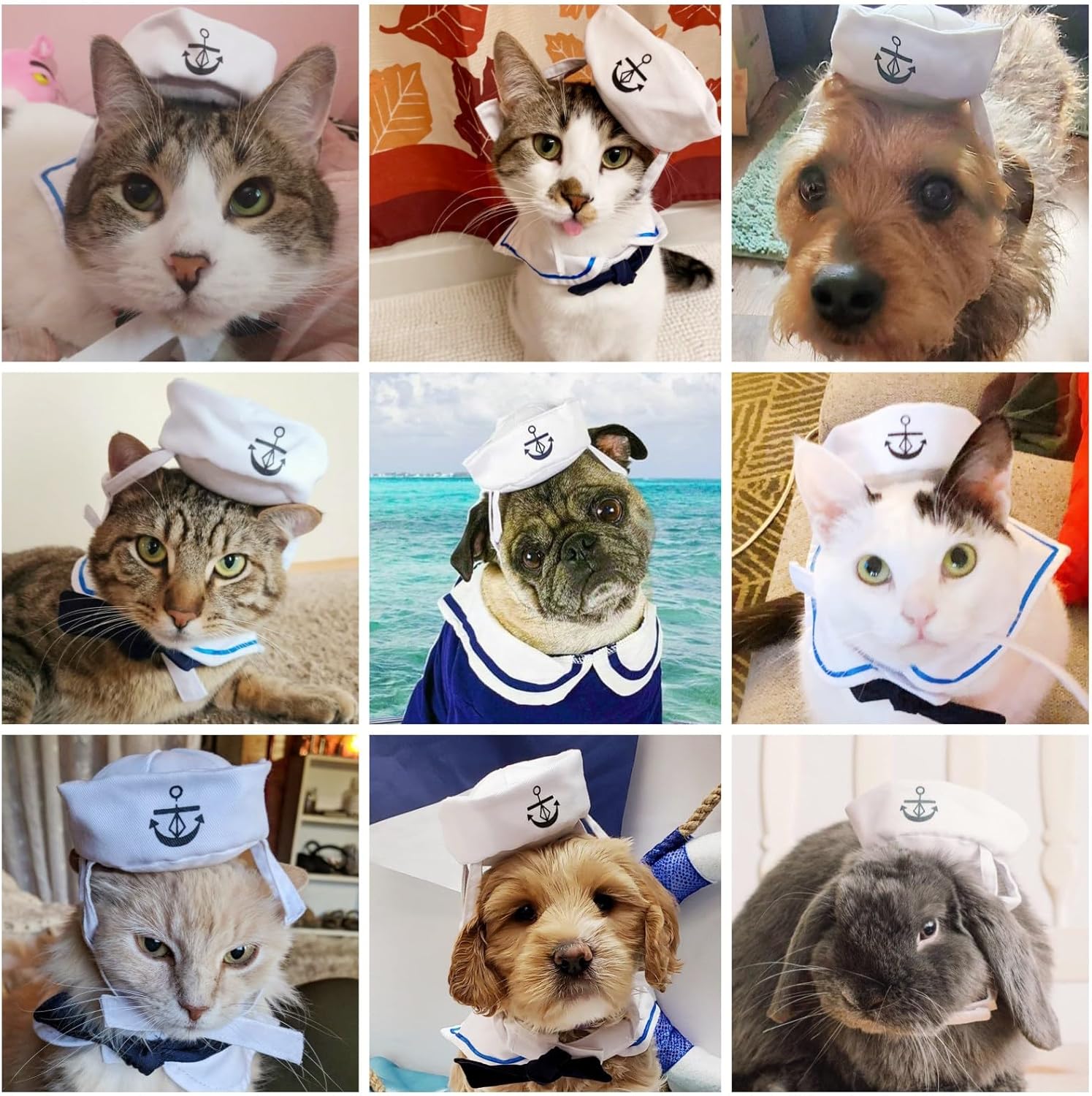Pet Sailor Costume for Cats Small Dogs Halloween Cat Sailor Hat with Tie Collar Doggy Navy Outfit Cosplay Apparel