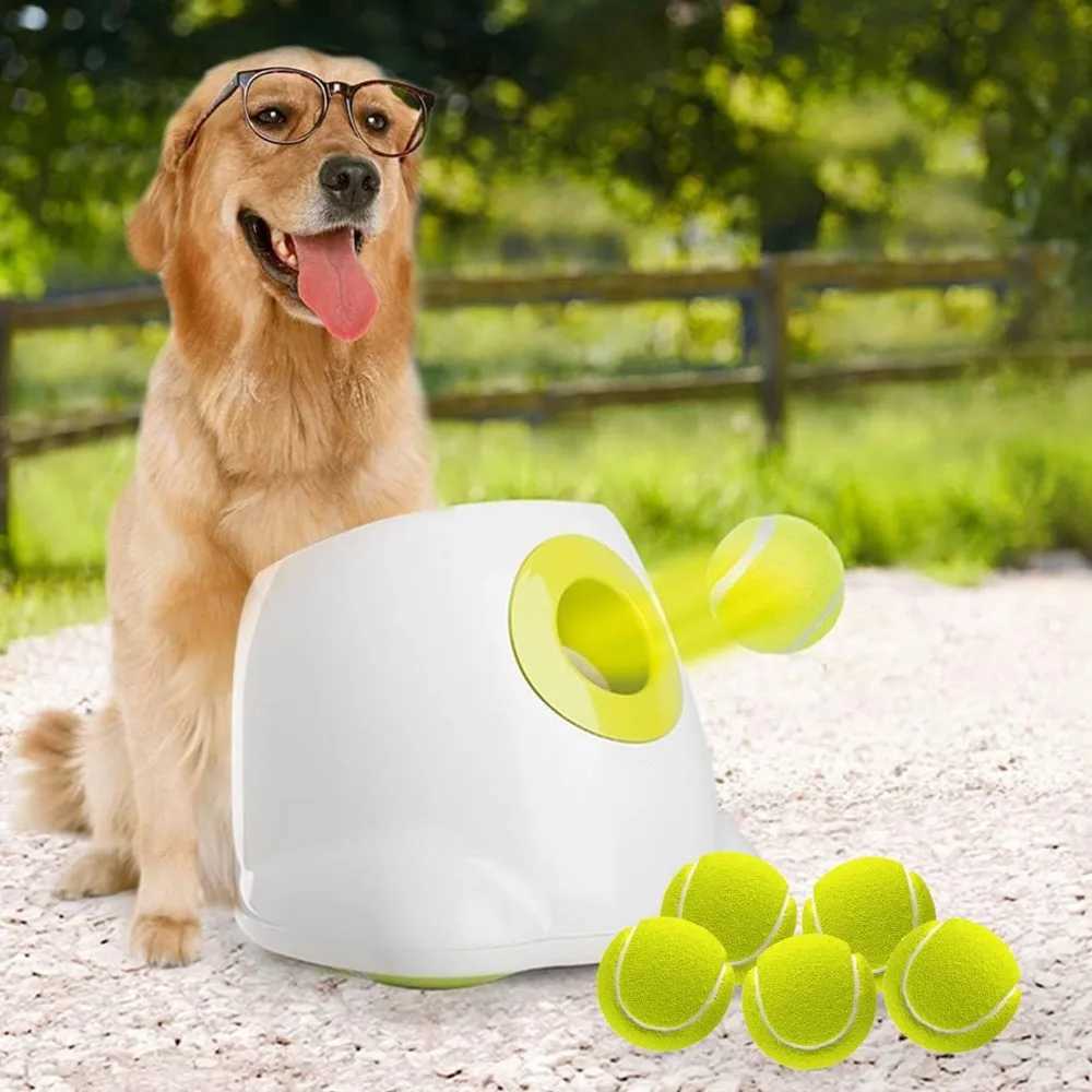 Automatic dog ball launcher interactive dog ball thrower psychological stimulation dog toy dog tennis machine X241213