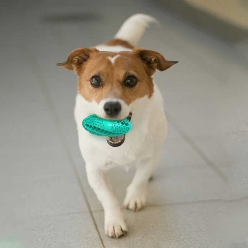 Dog Chewing Toy Dog Puzzle Teeth Toy Ball Treatment Distribution Dog Active Chewing Interactive Chewing Rich Toys X241213