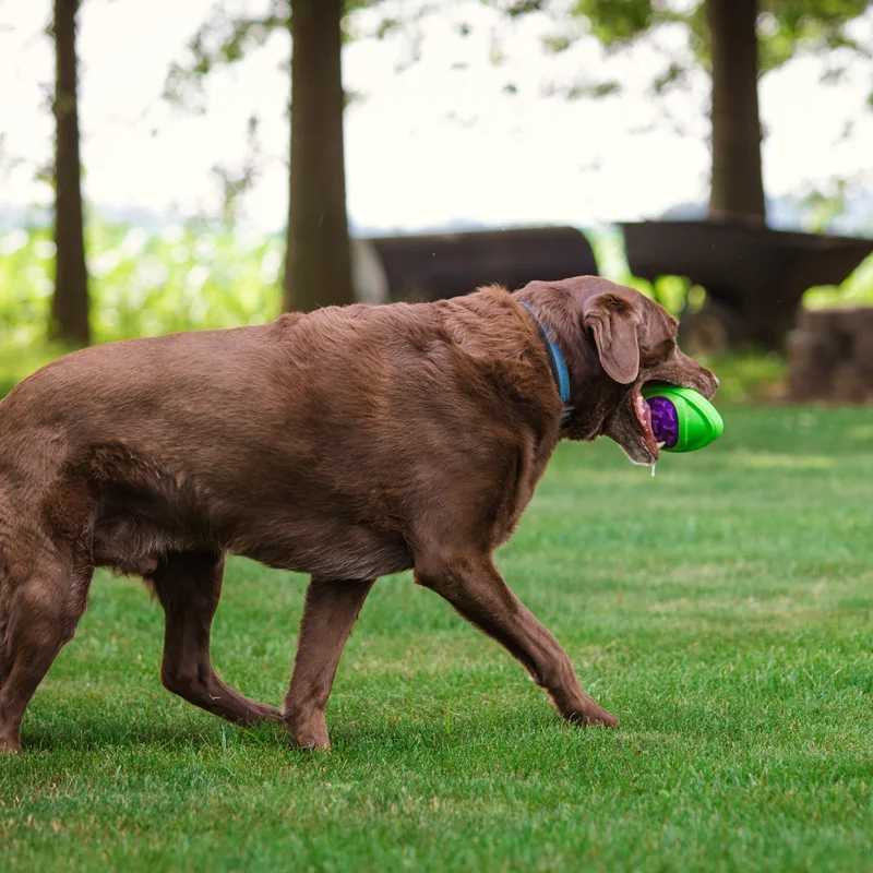 CAITEC dog toy soccer is suitable for dogs floating squeezing hard and sturdy suitable for outdoor throwing and suitable for medium to large dogs X241