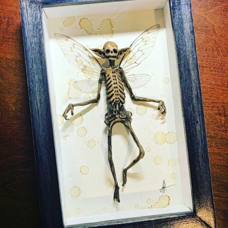 Gothic he decor mmified fairy Fairy skeleton Witchy decor Fairy specimen Statue Picture Frames Display Painting 2023 Y241212