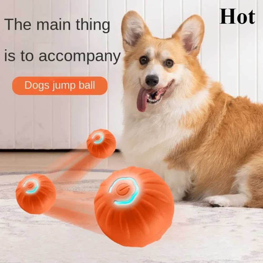 Active Rolling Ball Toy Intelligent Dog Toy Ball Charging Automatic Electronic Interactive Training Puzzle Supplies Pet Products X241213