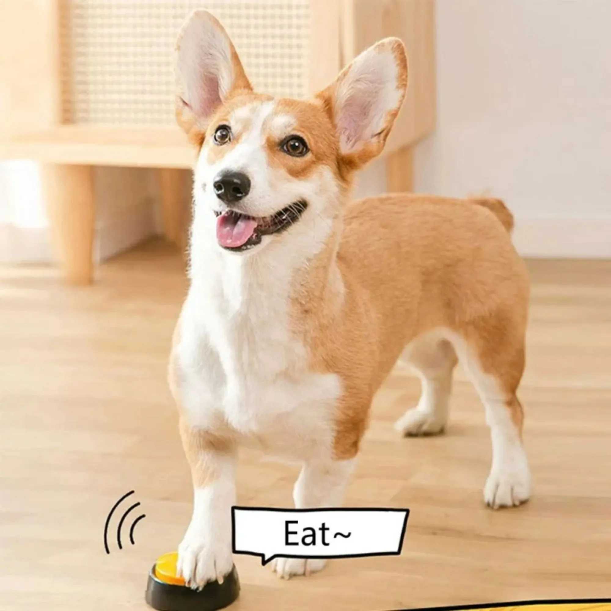 Dog Communication Buttons Voice Recording Button for Pet Training Buzzer 30 Second Record Playback Funny Gift for Talking Pet X2412135