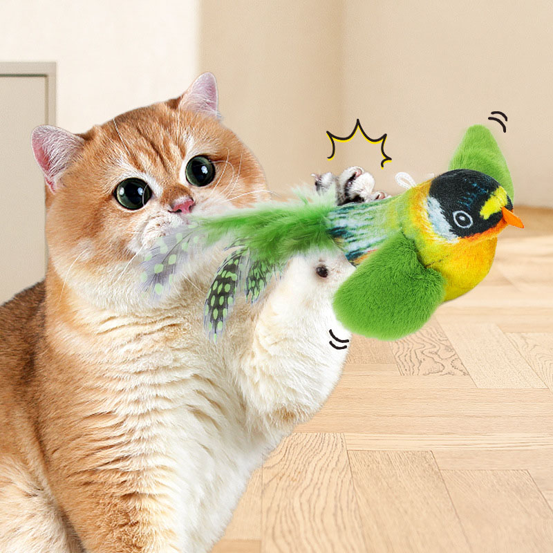 feathered birds for kittens to chew on, catstaying sticks, wholesale supplies New cat toys Sound Production
