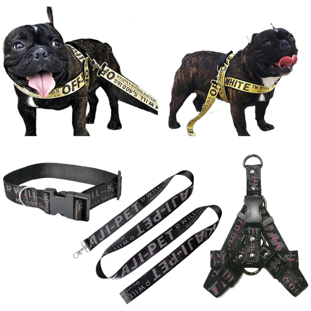Dog Collars Leashes Dog Collar and Leash Set Fashion Gold Chain Nylon Dog Collar Leash Long Rope Lettered Collar Perro Collar for Pitbull Puppy Dog 23