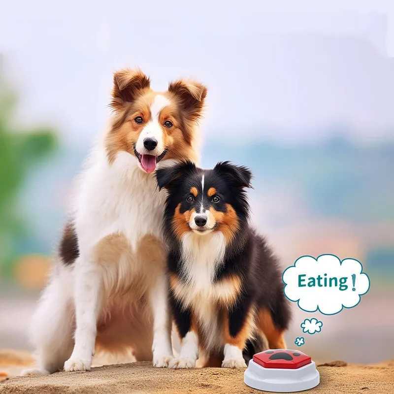 Pet training can record voice buttons that speak hexagonal paw patterns interactive voice responses and dog toys for communication X2412131