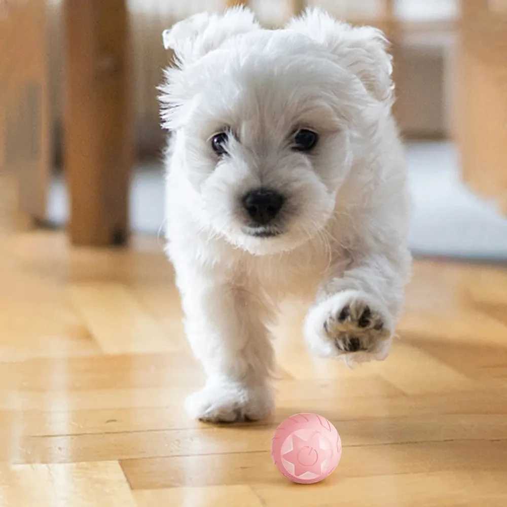 Madden intelligent cat toy automatic rolling ball electric cat toy interactive ball for small dogs cats training toys pet supplies X241213
