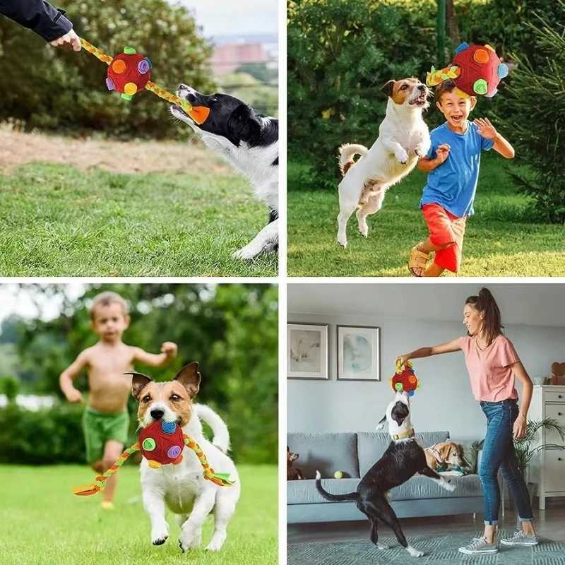 Snuffle Ball Toys Interactive Dog Toys Encourage Natural Foraging Skills Portable Pet Toys Slow Feeding Training Educational Toys X241213