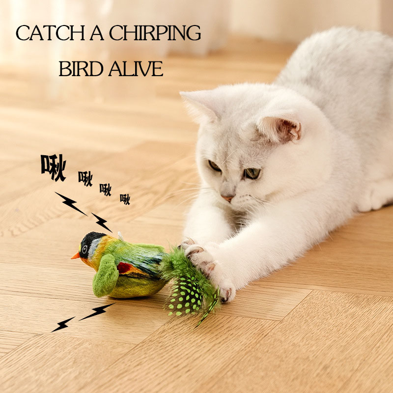 feathered birds for kittens to chew on, catstaying sticks, wholesale supplies New cat toys Sound Production